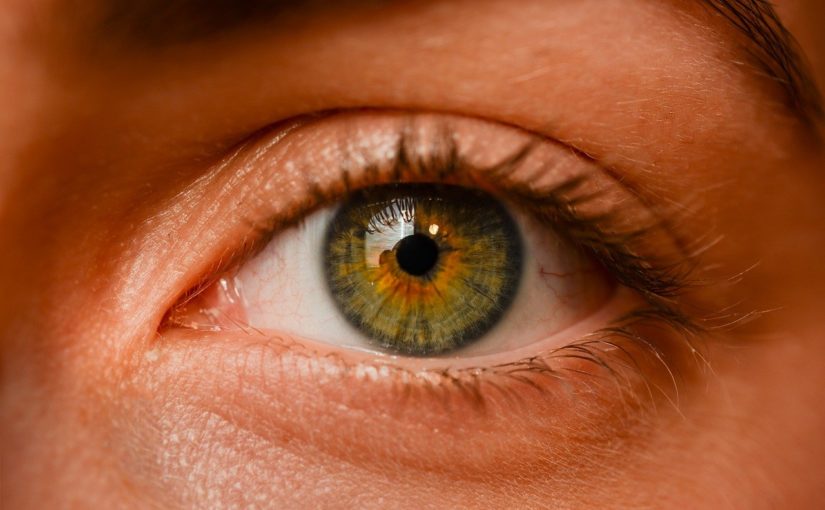 Oczy to wyrafinowany organ. To dokładnie dzięki nim widzimy.